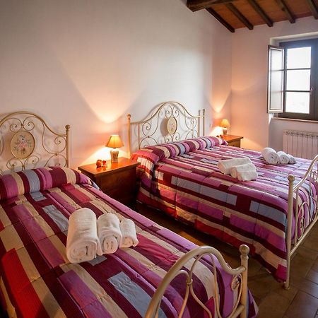 Agriturismo La Collina Del Sole Coltavolino 외부 사진